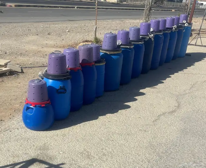 خضاضة اردنية 0