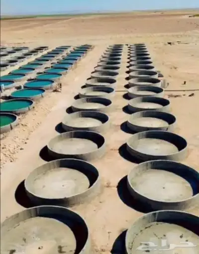 بيارات وخزانات ومسابح وازفلت 0