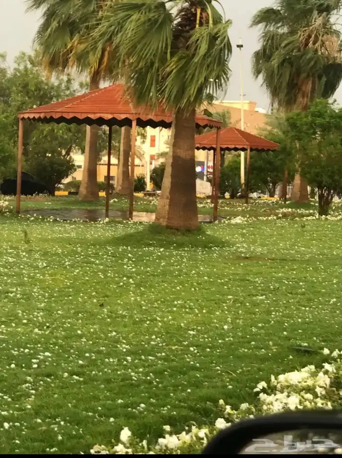 معلم رياضيات سعودي خبرة طويلة بالميدان التربوي 0