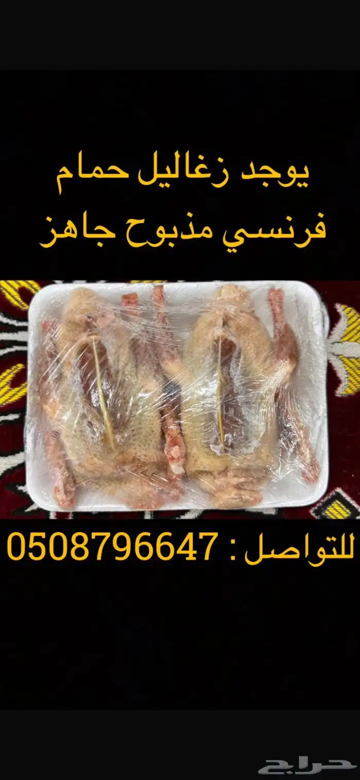 زغاليل حمام فرنسي 0