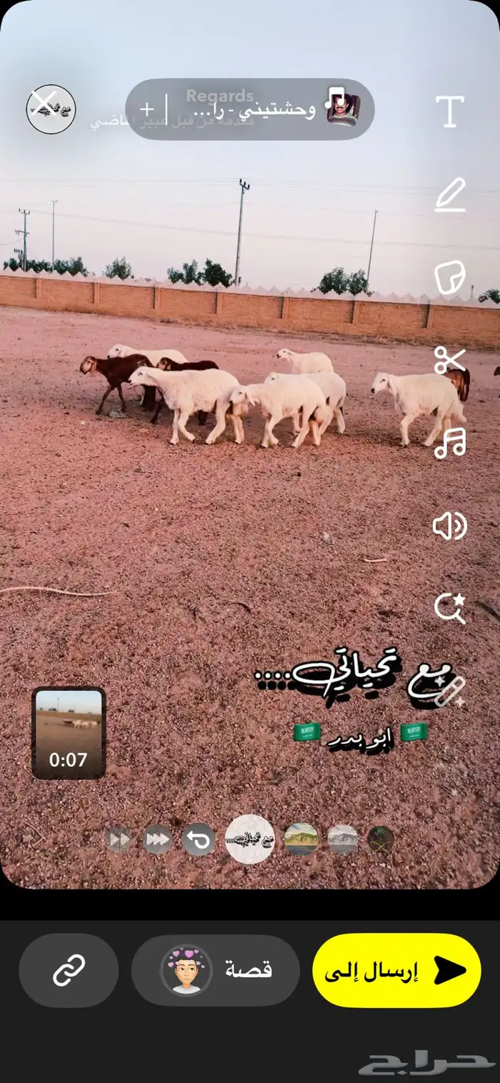 حري طليان ضحايا 0
