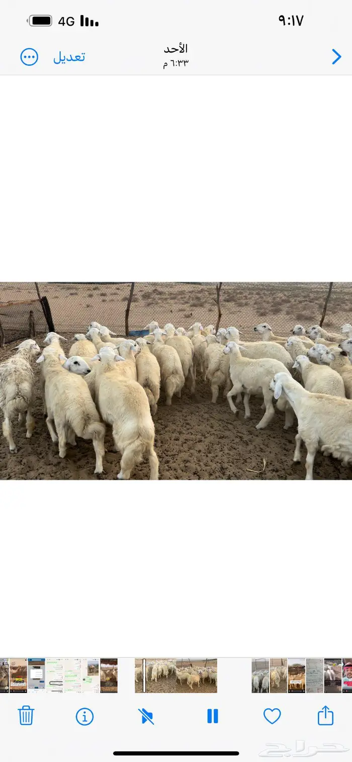 جنوب الليث ( تم البيع ) 2