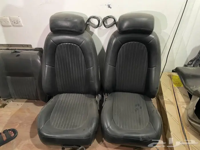 موستنج بولت 12