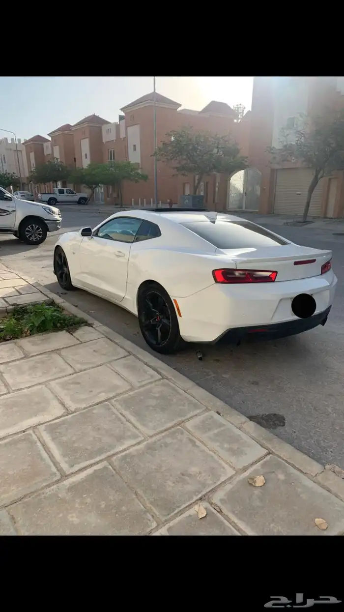 كومارو للبيع او البدل المناسب 3