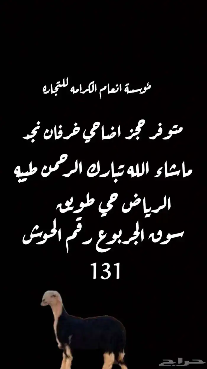 بيع اغنام وتقسيط تابي وتمارا 4