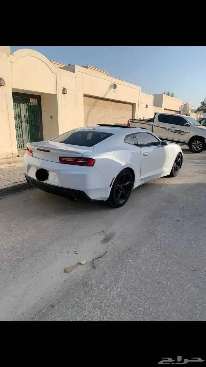 كومارو للبيع او البدل المناسب 2