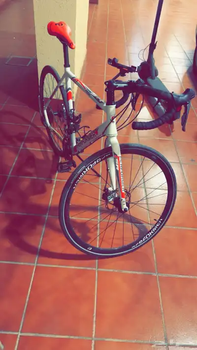 Performer bike size 54 1