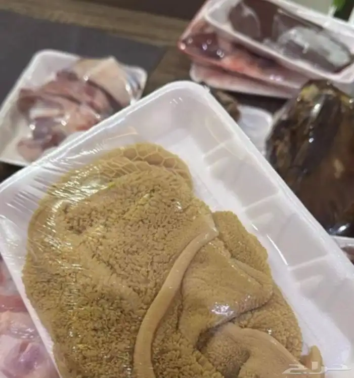 للبيع غنم نعيمي   حري   سواكني   تيوس 1