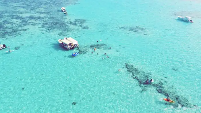 رحلات جزيرة بياضه مالديف جده رحلات سياحه 11