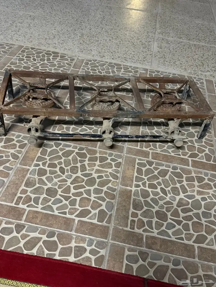 قز شغال 0