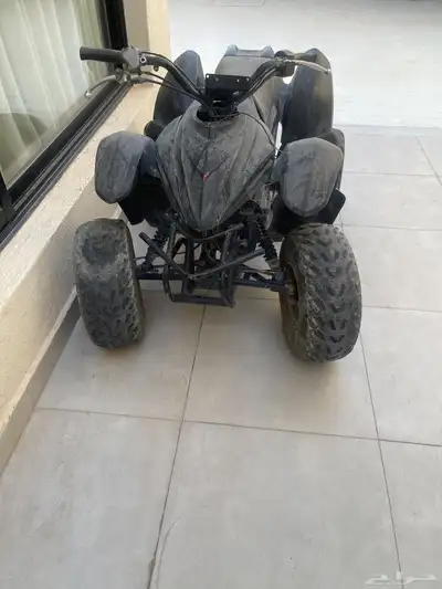 دباب كبير للبيع 0