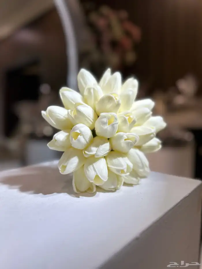 مصورة جوال 0