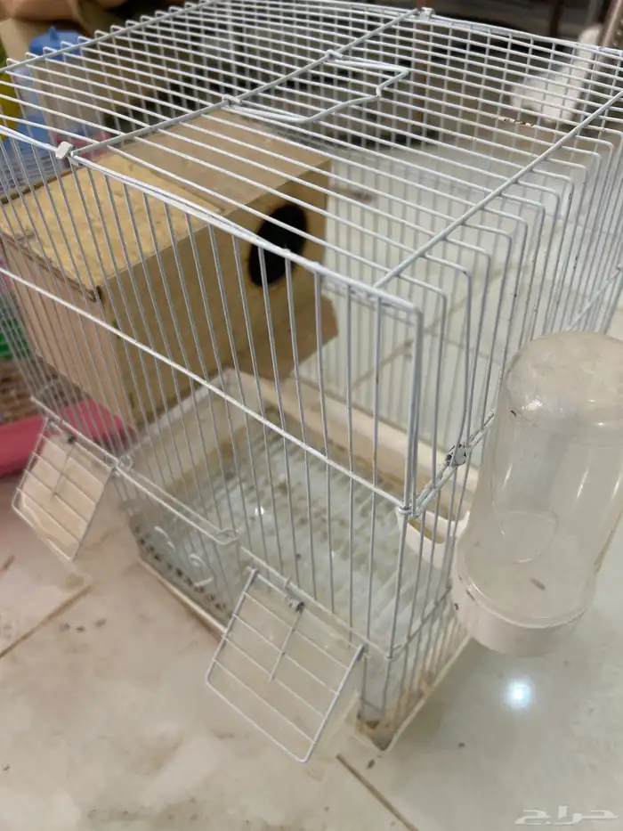 اقفاص 1هامستر و 2طيور و مع كل شي في الصوره السوم 100 1