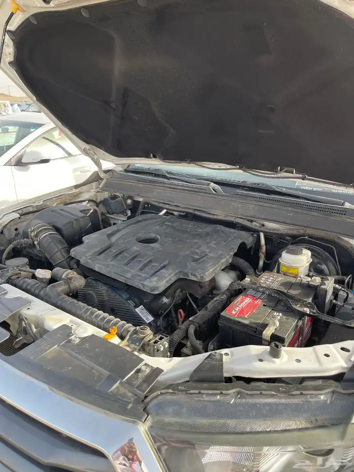 ونجل 7 2021 ممشى148 الف 5