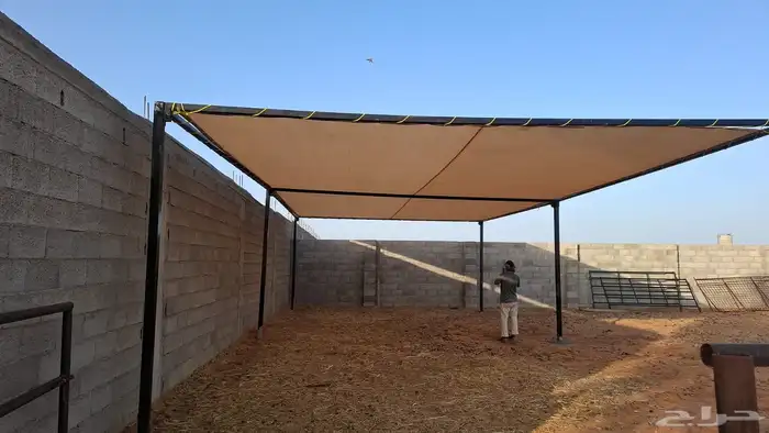 مضلات ابل مضلات حلال 1