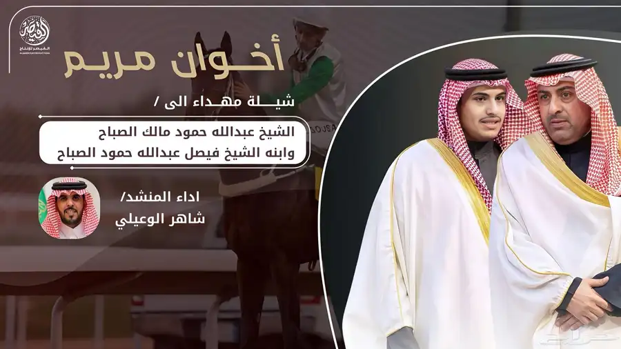 مصمم شيلات 0
