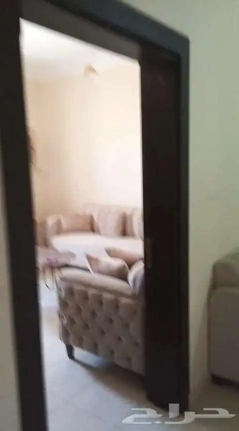 شقه مفروشه للايجار بالرس 1200 بالشهر 0