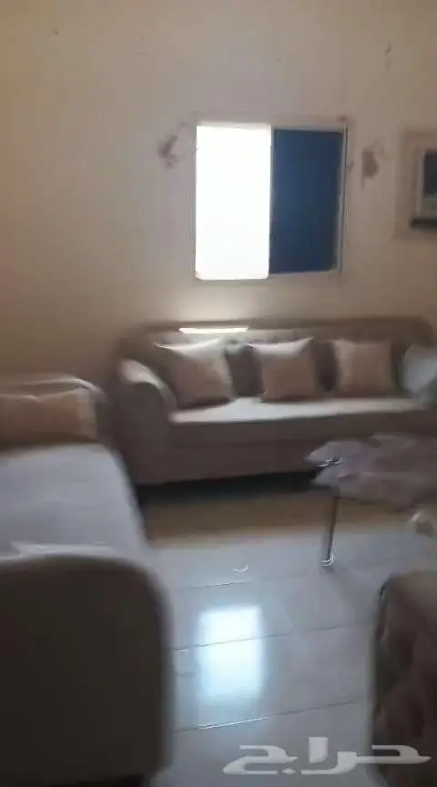 شقه مفروشه للايجار بالرس 1200 بالشهر 4