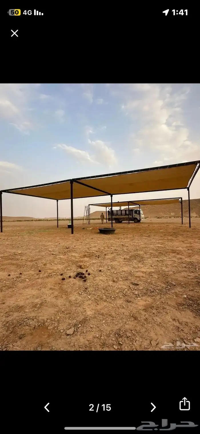 مضلات ابل مضلات حلال 0