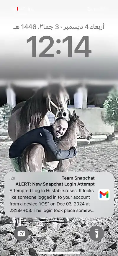 اسطبل لأيواء الخيل 800 شامل جميع الخدمات 2