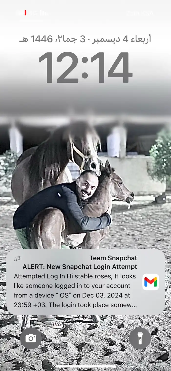 اسطبل ايواء الخيل اعلاف اراسكو فقط 800 شامل جميع الخدمات 2