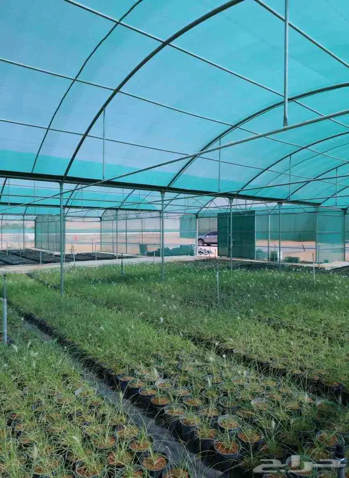 بيوت محمية جديدة للبيع ( مكيفة - غير مكيفة ) 6