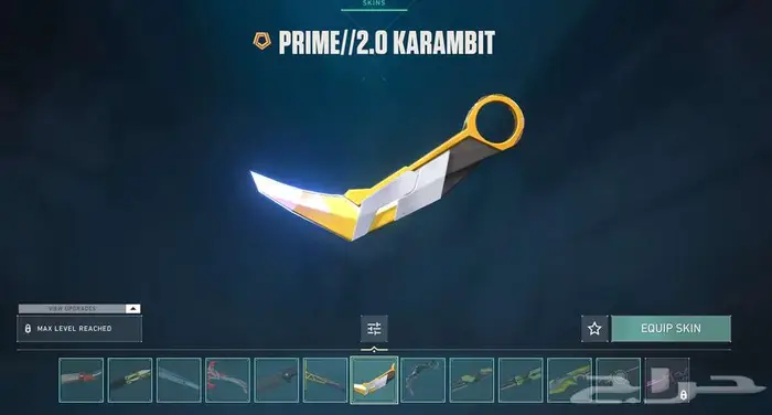 حساب فالورانت 111 سكن لفل 181 امورتال 12
