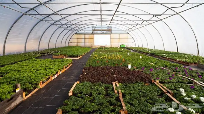 بيوت محمية جديدة للبيع ( مكيفة - غير مكيفة ) 0