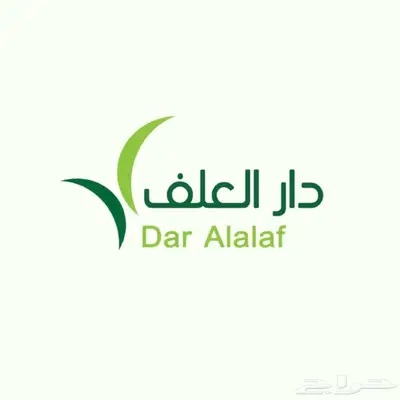 برسيم صافي جوندير تبوك 0