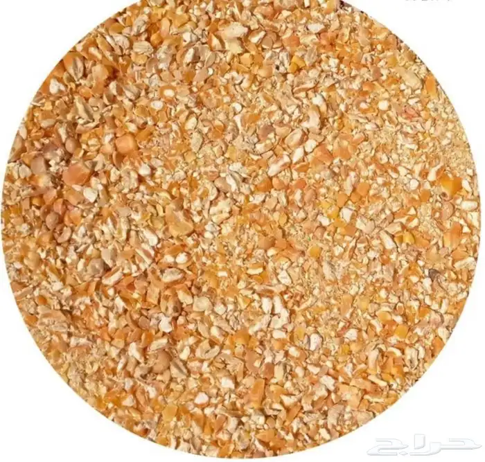 بيض بلدي فاخر و فريد من نوعه توصيل مجاني داخل الحي 9