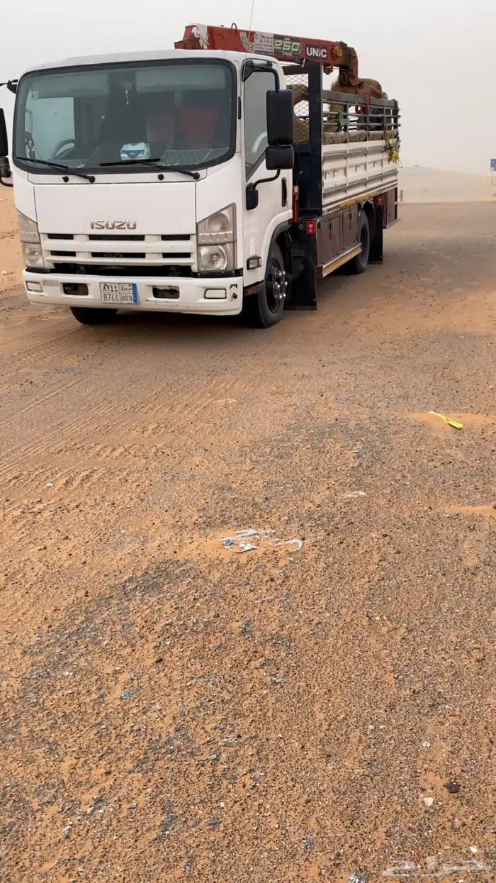 دنا دينا هدرولبك ونش نقل ابل 0
