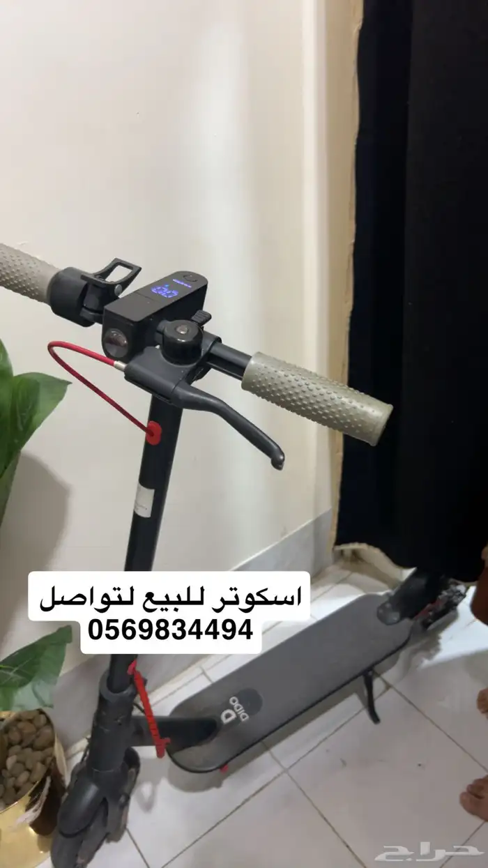 الهفوف الاحساء 0