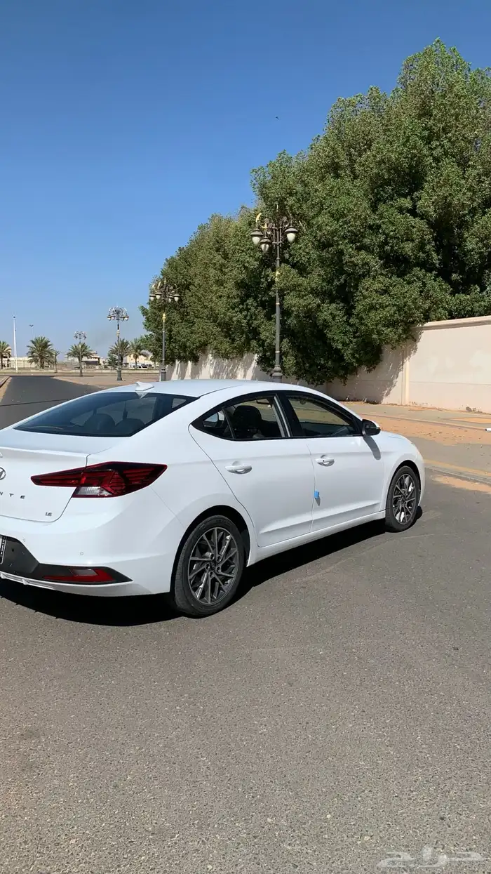 النترا 2020 3