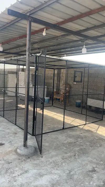 صندقة طيور حمام   دجاج   سمان 0