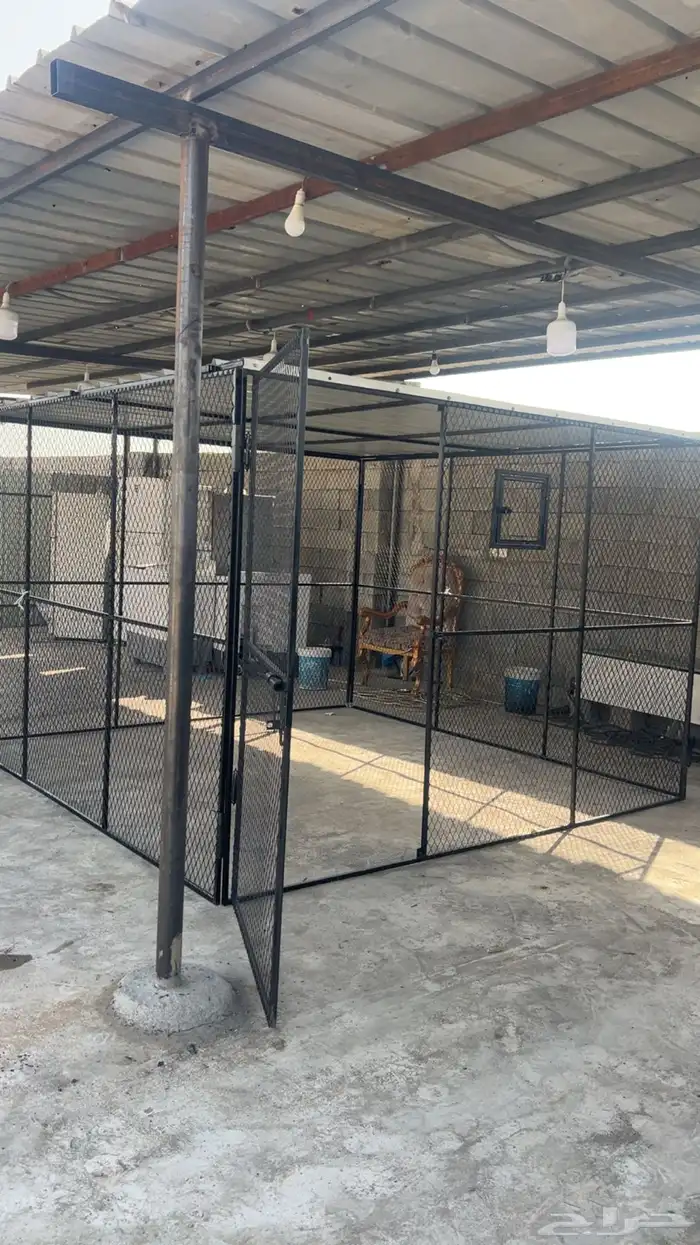 صندقة طيور حمام   دجاج   سمان 0