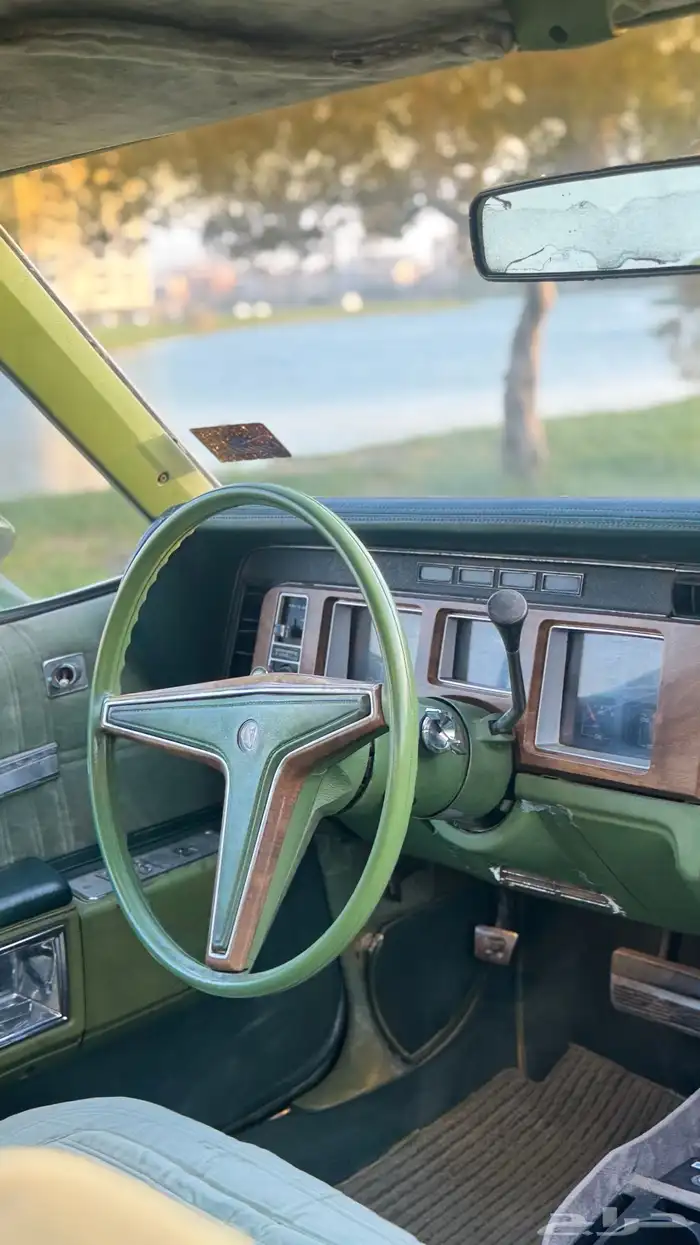 بونتياك بونوفيل 1979 3