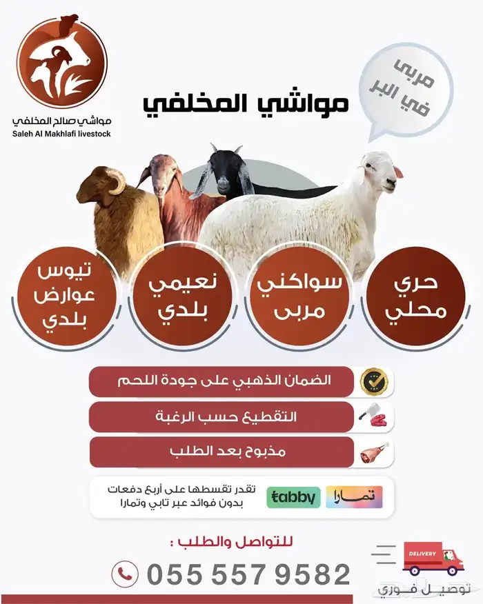 مواشي طليان حريه- نعيمي- سواكني - اضاحي العيد - بدء الحجز 2