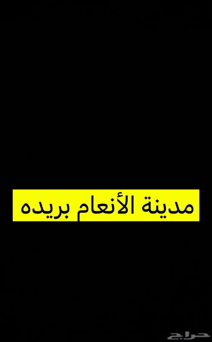 رقم الدلال ب سوق الغنم يبع الغنم كله 1