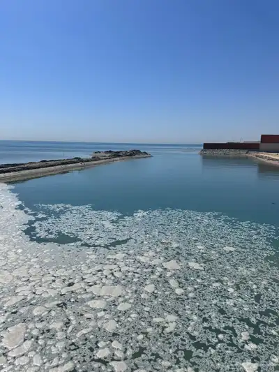 ارصفة بحرية وربراب ودفان البحر وغيره 0