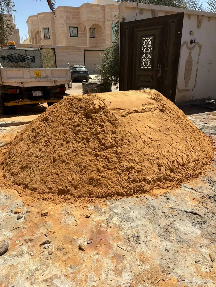 دينا قلاب 3