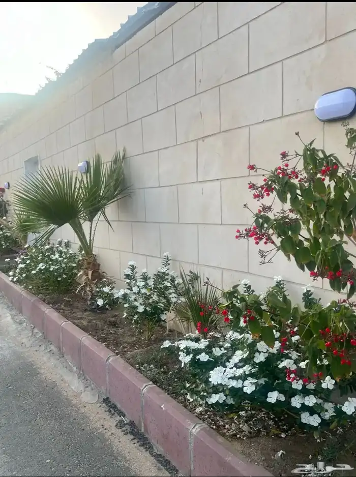 شالية روح وريحان عرض موقت ب 290 ريال فقط 34