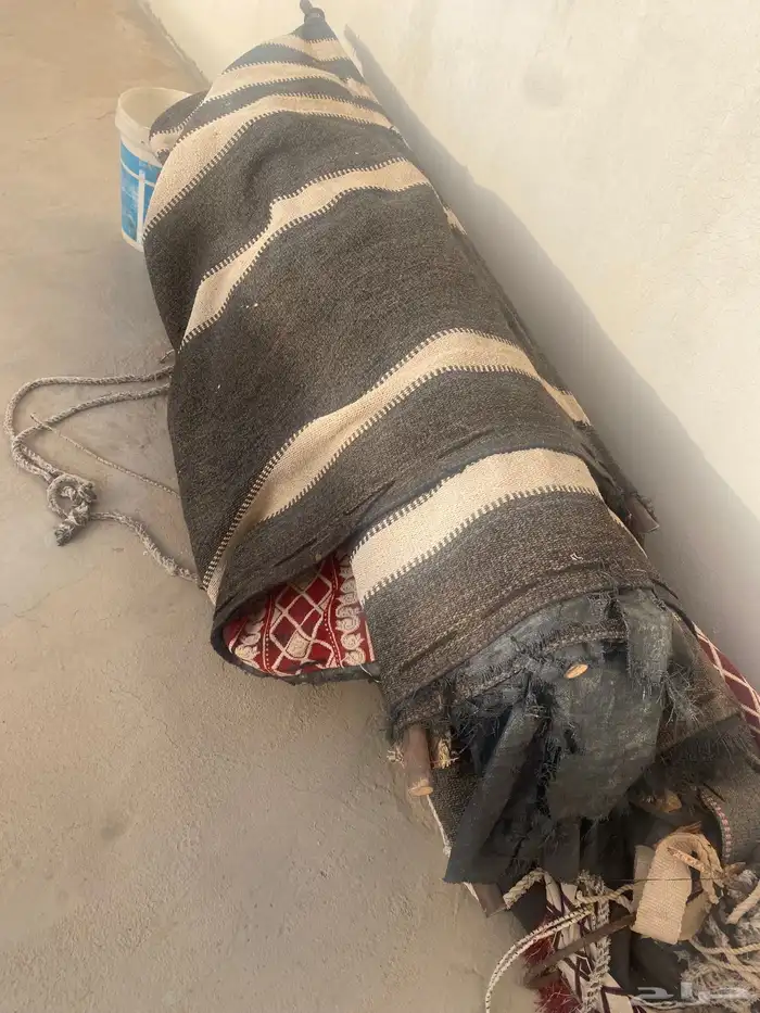 بيت شعر واسطين 1