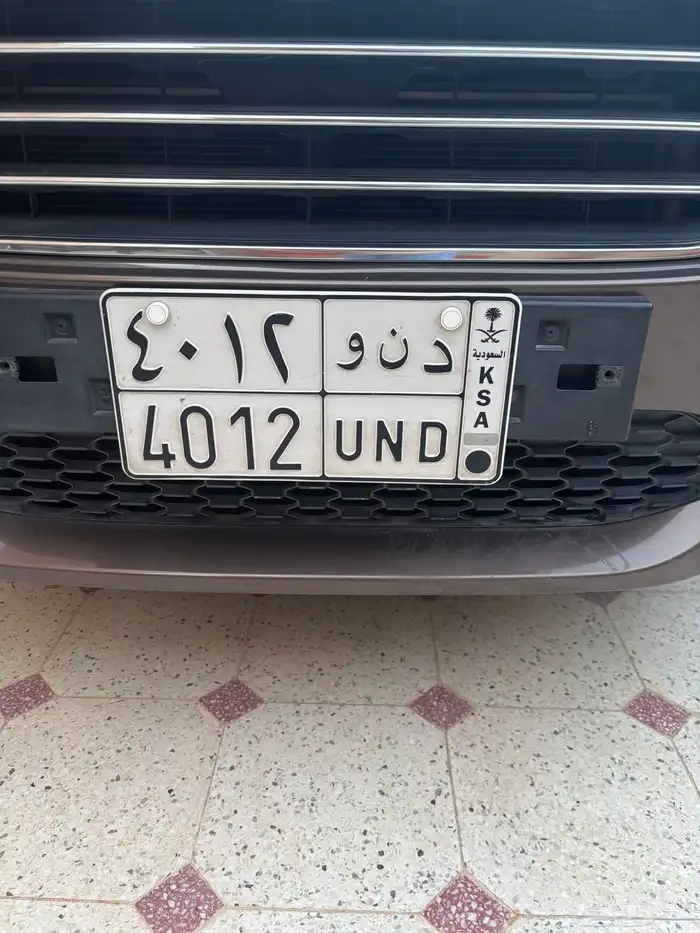 لوحة مميزة دنو 1