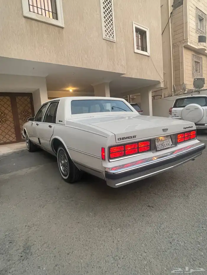 كابرس 1989 بروقهام ( للهاوي والمستخدم ) 21
