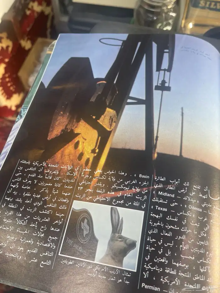 مجلة قافلة الزيت 12