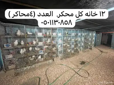 محاكر حديد 0