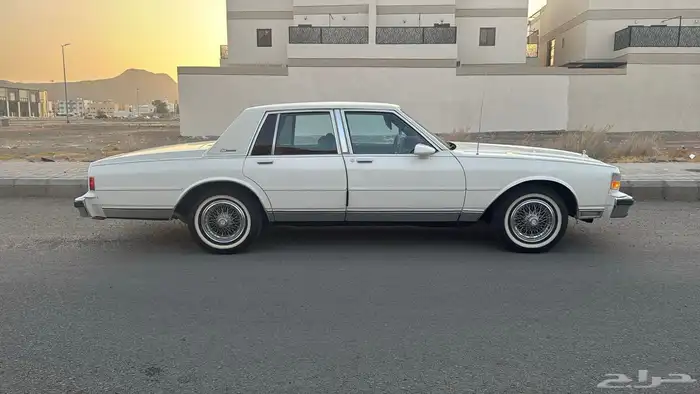 كابرس 1989 بروقهام ( للهاوي والمستخدم ) 13