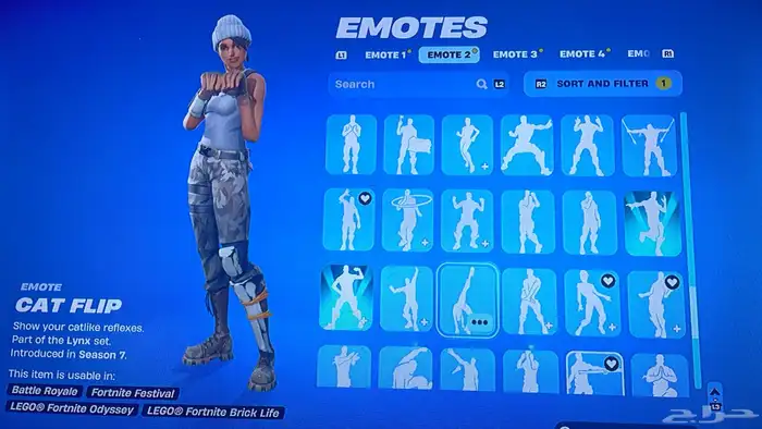حساب فورت نايت 12