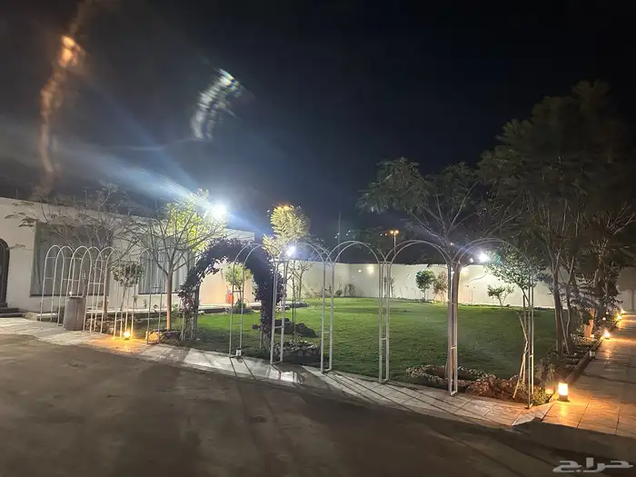 عشب طبيعي أمريكي C2000 مقاوم للملوحة 11