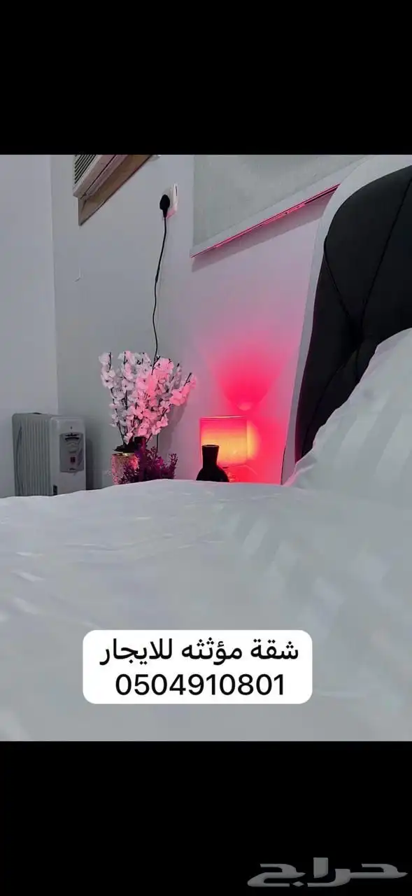 شقة مؤثثه للايجار بحايل حي الخزامى 2